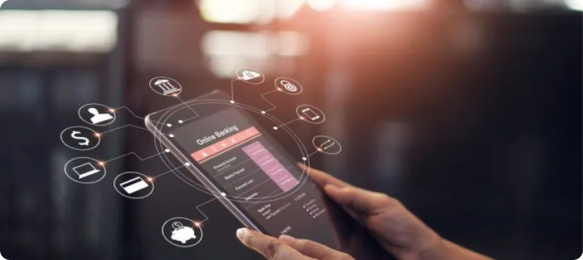 Payment & Remittance Systems