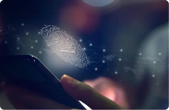 Biometric Authentication